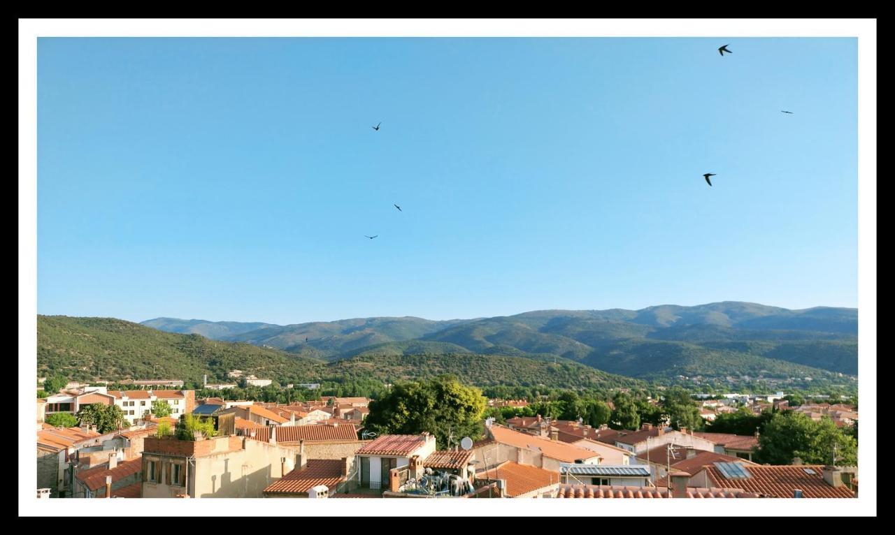 La Belle D'Ame - Guest House Prades  Exteriér fotografie